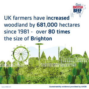 UK farmers have increased woodland by 681,000 hectares since 1981 - over 80 times the size of Brighton