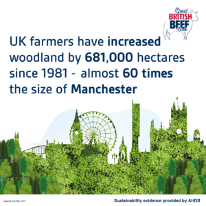 UK farmers have increased woodland by 681,000 hectares since 1981 - almost 60 times the size of Manchester