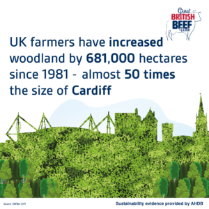 UK farmers have increased woodland by 681,000 hectares since 1981 - almost 50 times the size of Cardiff