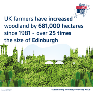 UK farmers have increased woodland by 681,000 hectares since 1981 - over 25 times the size of Edinburgh