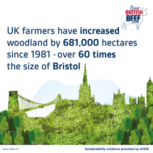 UK farmers have increased woodland by 681,000 hectares since 1981 - over 60 times the size of Bristol